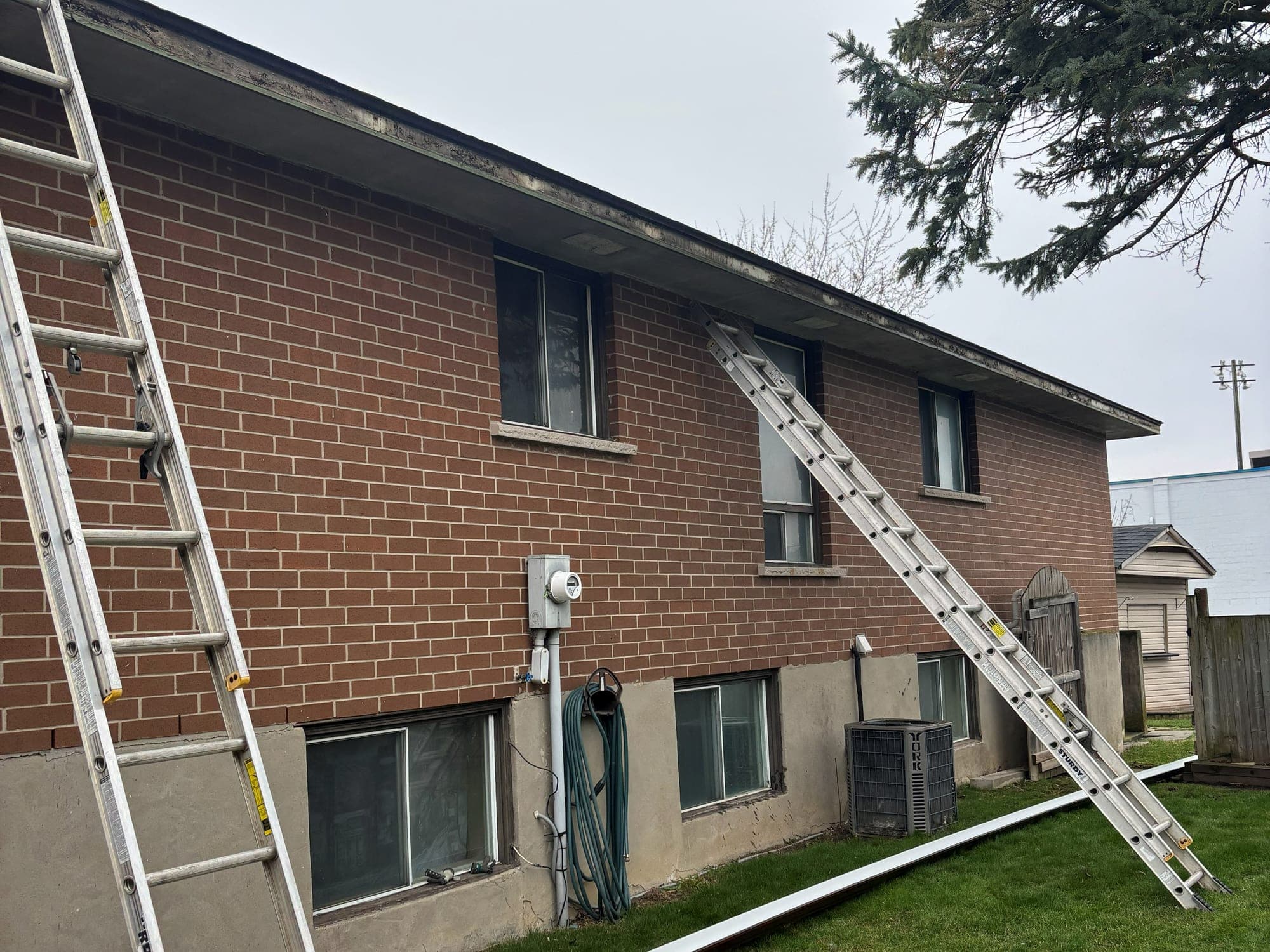 Ladders against the roofline of a brick raised bungalow during an eavestrough replacement, with a new length of white eavestrough laid out on the lawn