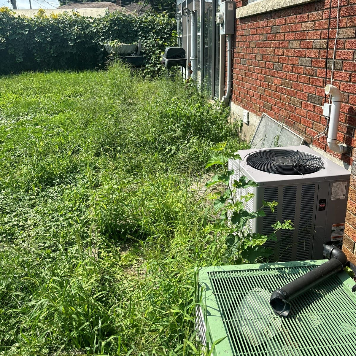 Before: overgrown grass and weeds covering a side yard and walkway beside a brick house in Welland